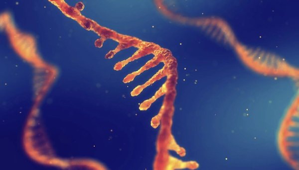 专业配资知识官网 小核酸公司瑞博生物赴港IPO，两年亏超7亿